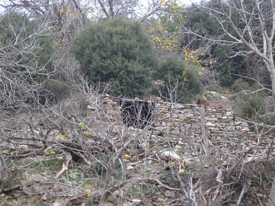DSCN0854