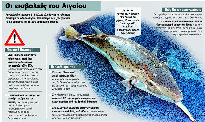 lesvosnews