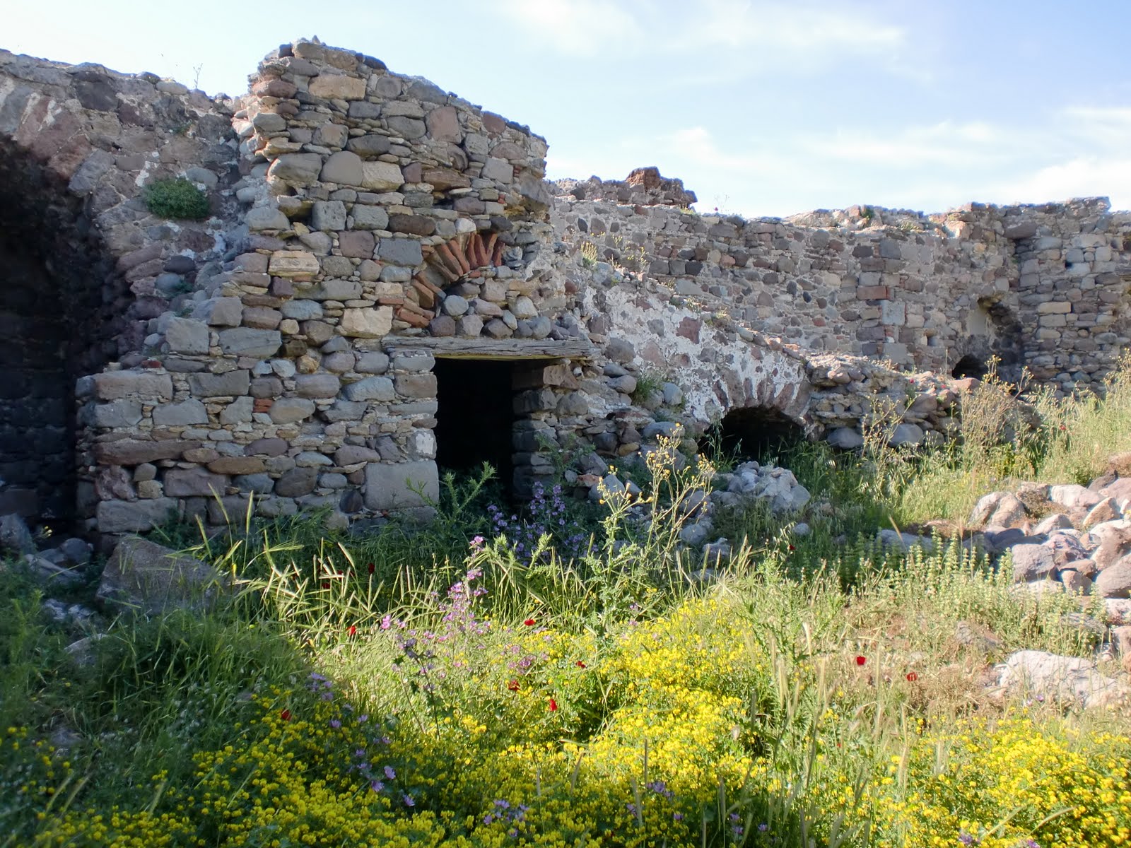 CIMG0273