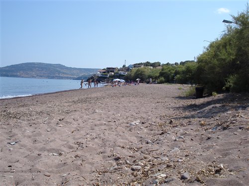ΛΕΣΒΟΣ_ΤΑΡΤΙ.JPG-500x400