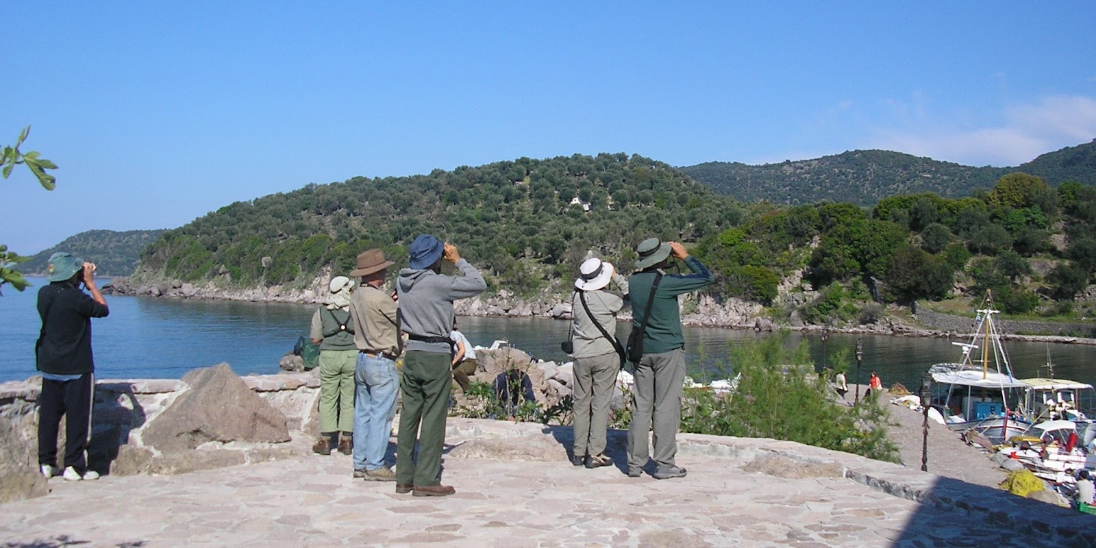birdwatchers