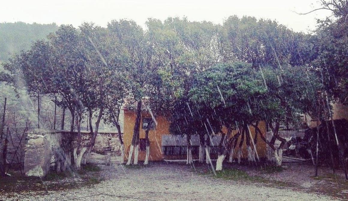 Πλωμάρι - φώτο Γ. Πιτσιλαδής 