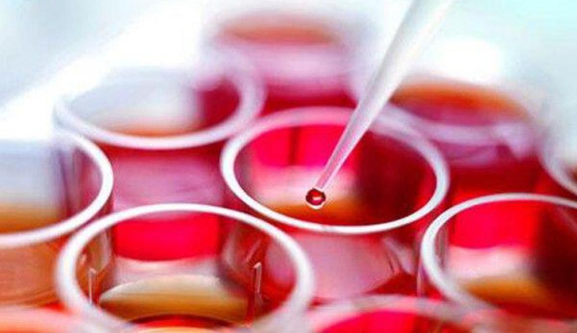 Σημαντική διάκριση για Έλληνα βιολόγο στις ΗΠΑ 