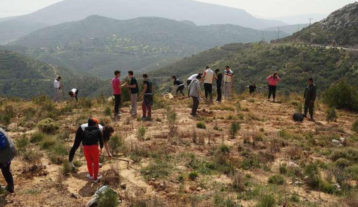Μπράβο τους! Δεντροφύτευση μαθητών από Λέσβο στις καμένες περιοχές της Χίου
