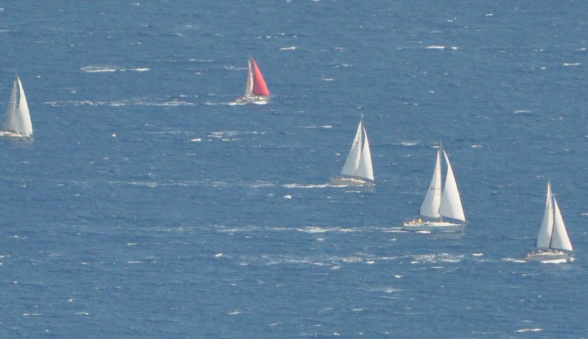 Aegean Regatta Lesvosnews