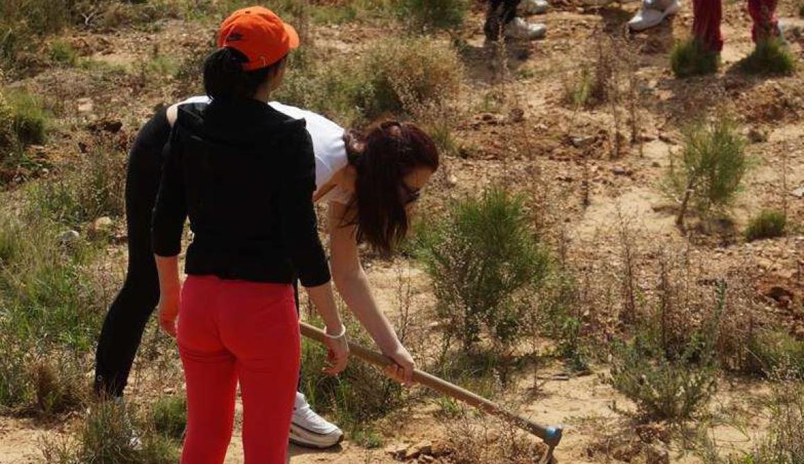 Μπράβο τους! Δεντροφύτευση μαθητών από Λέσβο στις καμένες περιοχές της Χίου
