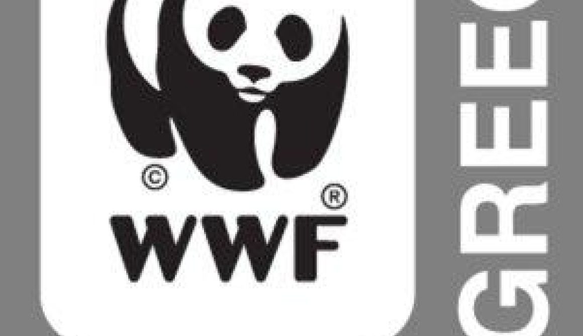WWF Ελλάς Εργαστήριο για τους υγρότοπους της Λέσβου - Εκδηλώσεις