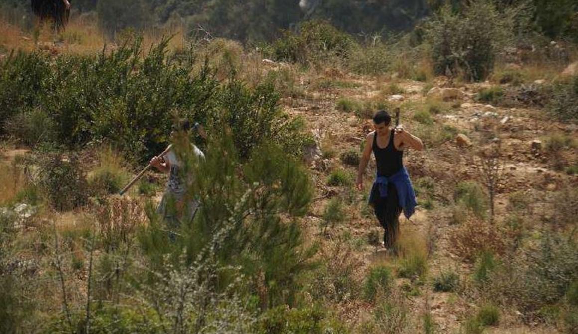 Μπράβο τους! Δεντροφύτευση μαθητών από Λέσβο στις καμένες περιοχές της Χίου
