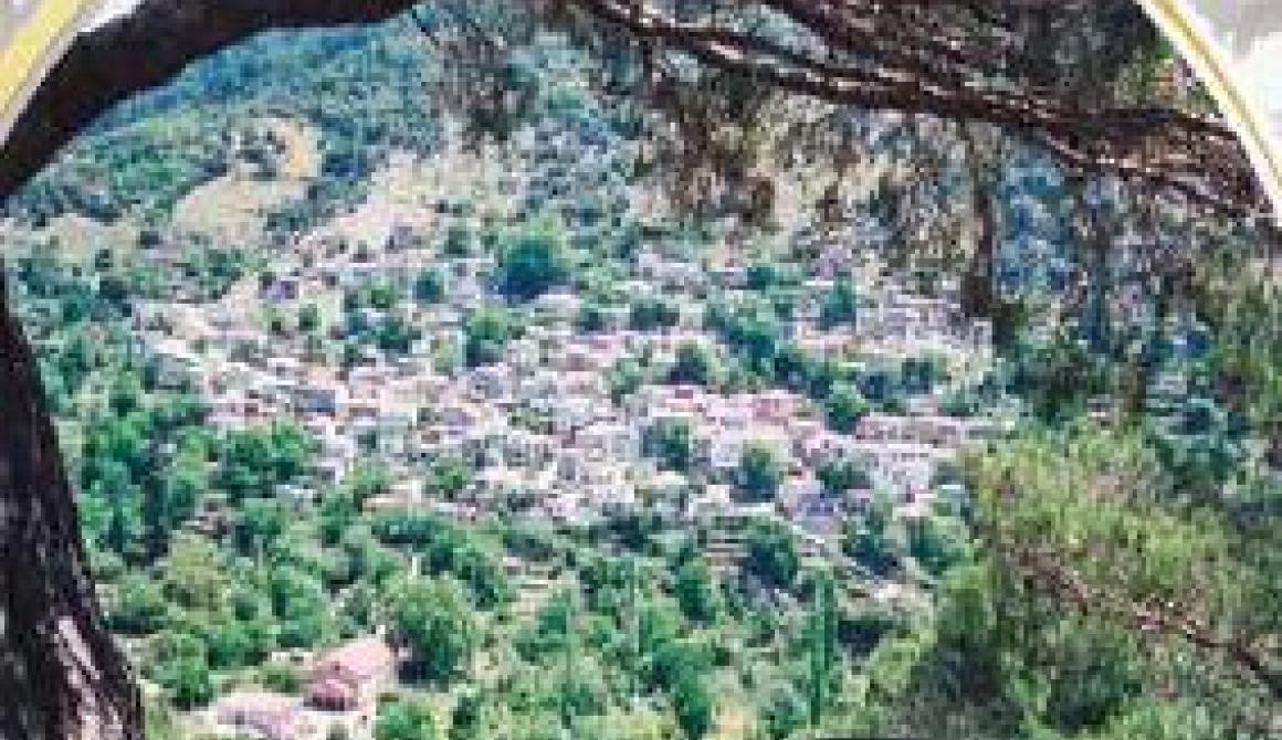 Ετήσιος χορός της Ομάδας Εθελοντισμού στο Αμπελικό