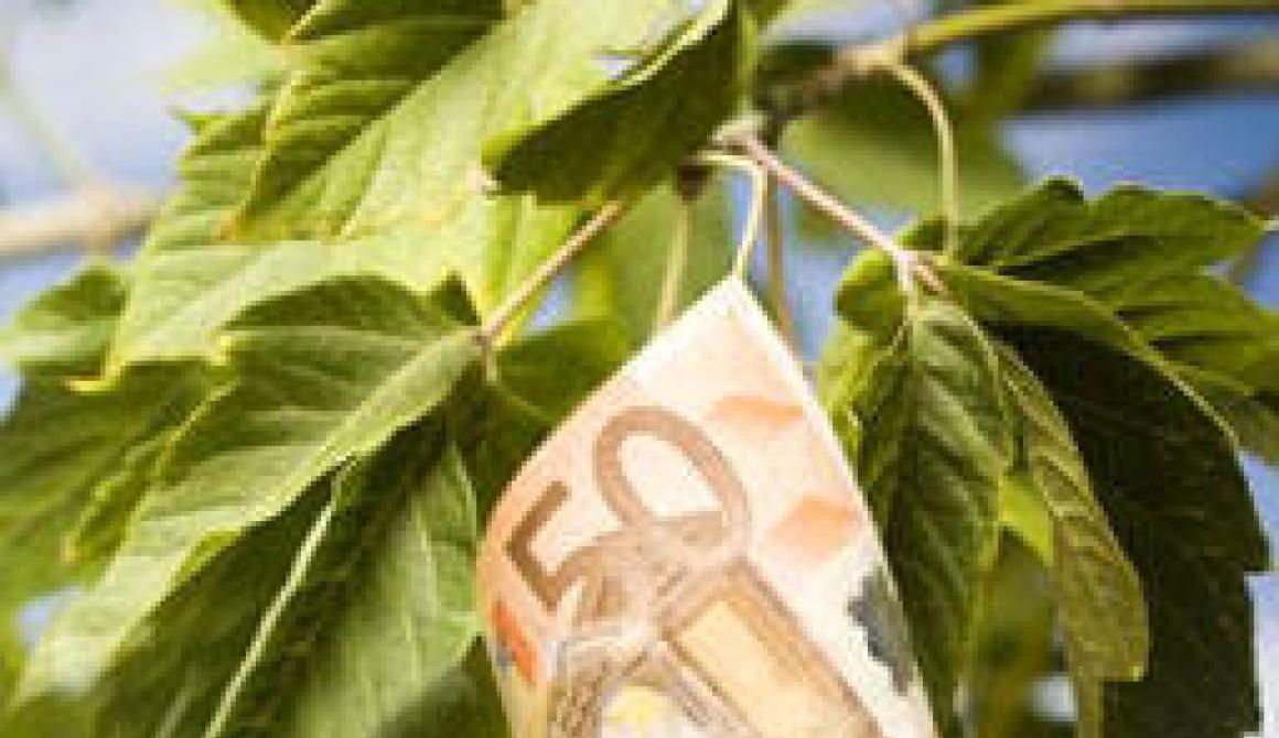 Μετά τις 15/12 η πληρωμή του υπολοίπου 50% των επιδοτήσεων στους αγρότες