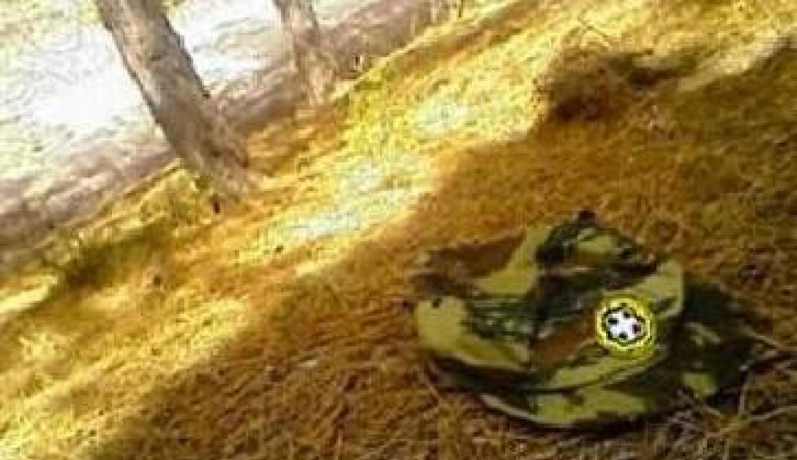 Συνελήφθη λιποτάκτης στη Μυτιλήνη...