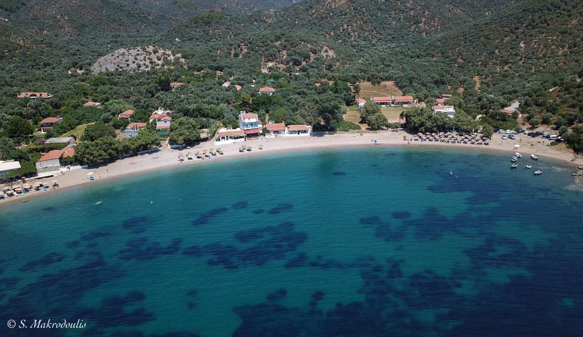 Τάρτι: Μαγικό, υπέροχο, μοναδικό