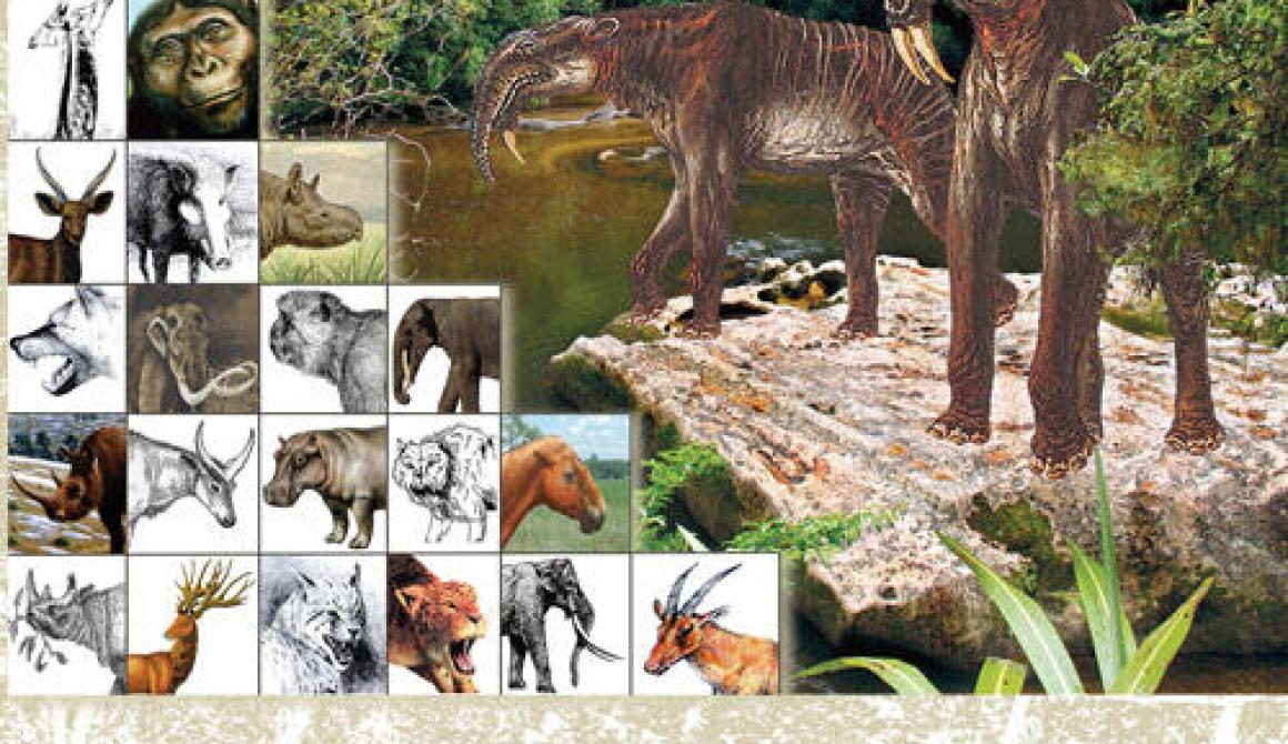 ιάλεξη της Δρ Κατερίνας Βασιλειάδου στο Μουσείο Απολιθωμένου Δάσους