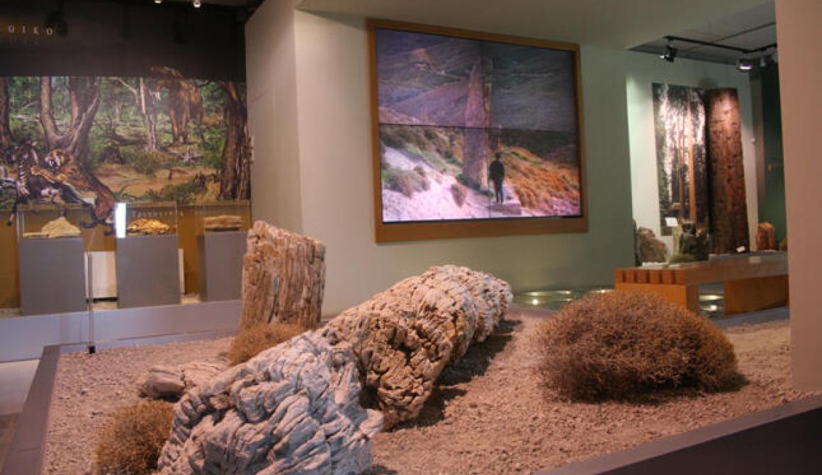 Κοπή Βασιλόπιτας - Απολογισμός Δράσεων  και Βράβευση σχολείων στα πλαίσια του Πρόγραμμα RACCE  στο Μουσείο Φυσικής Ιστορίας Απολιθωμένου Δάσους 