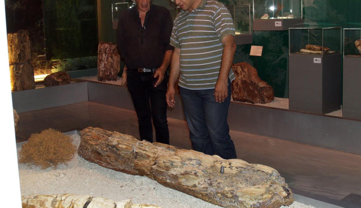 Ο G. Martini sτο Μουσείο Απολιθωμένου Δάσους