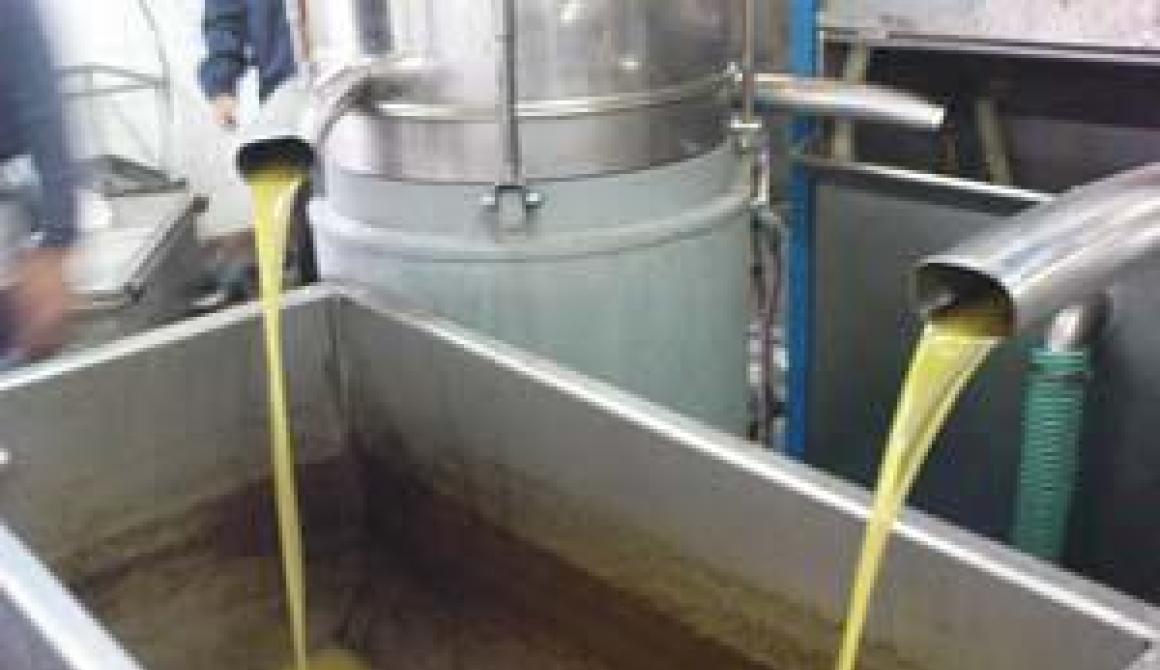 Εγκαίνια  Δημοτικού ελαιοτρίβειου Πολιχνίτου 