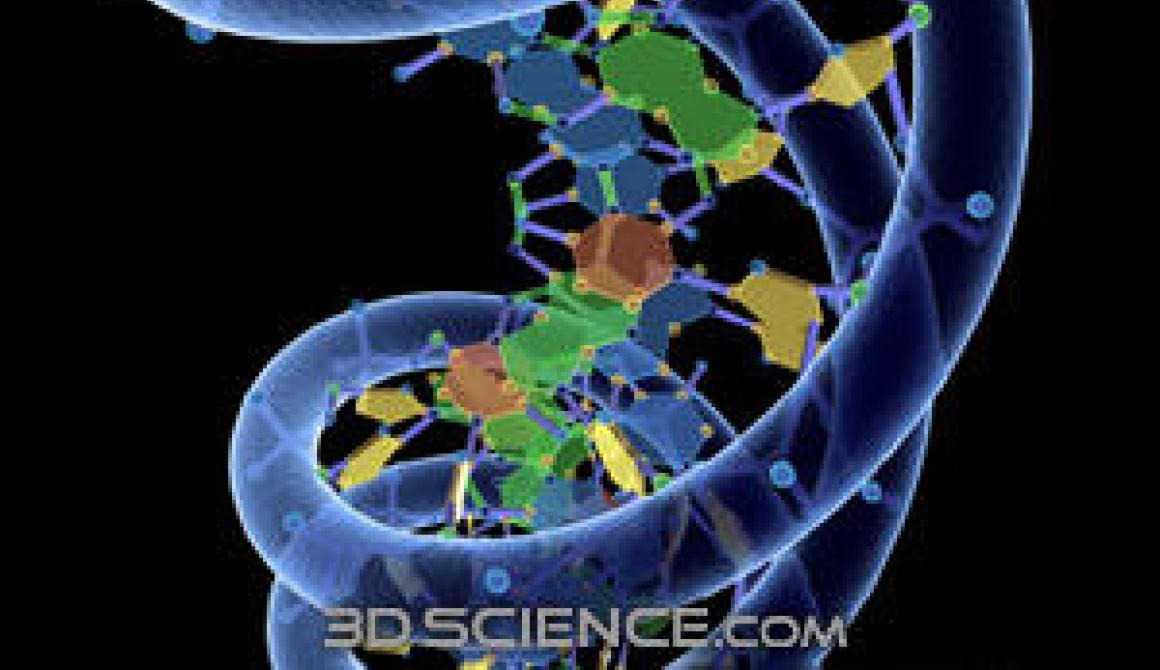 Ελπίδες για νέες θεραπείες από τη λεπτομερή ανάλυση του DNA