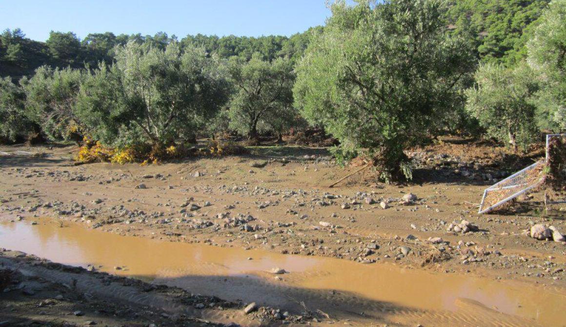 Σε απόγνωση οι κάτοικοι  του Αμπελικού και του Σταυρού