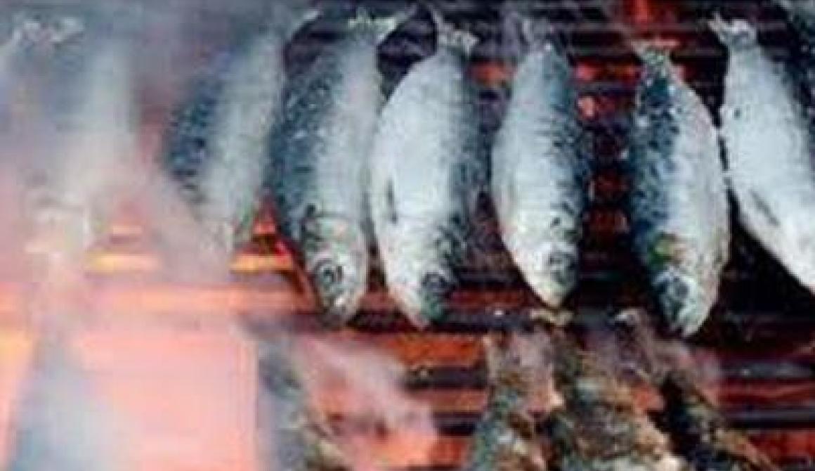 Γιορτή Σαρδέλας στη Σκάλα Λουτρών Λέσβου Lesvosnews