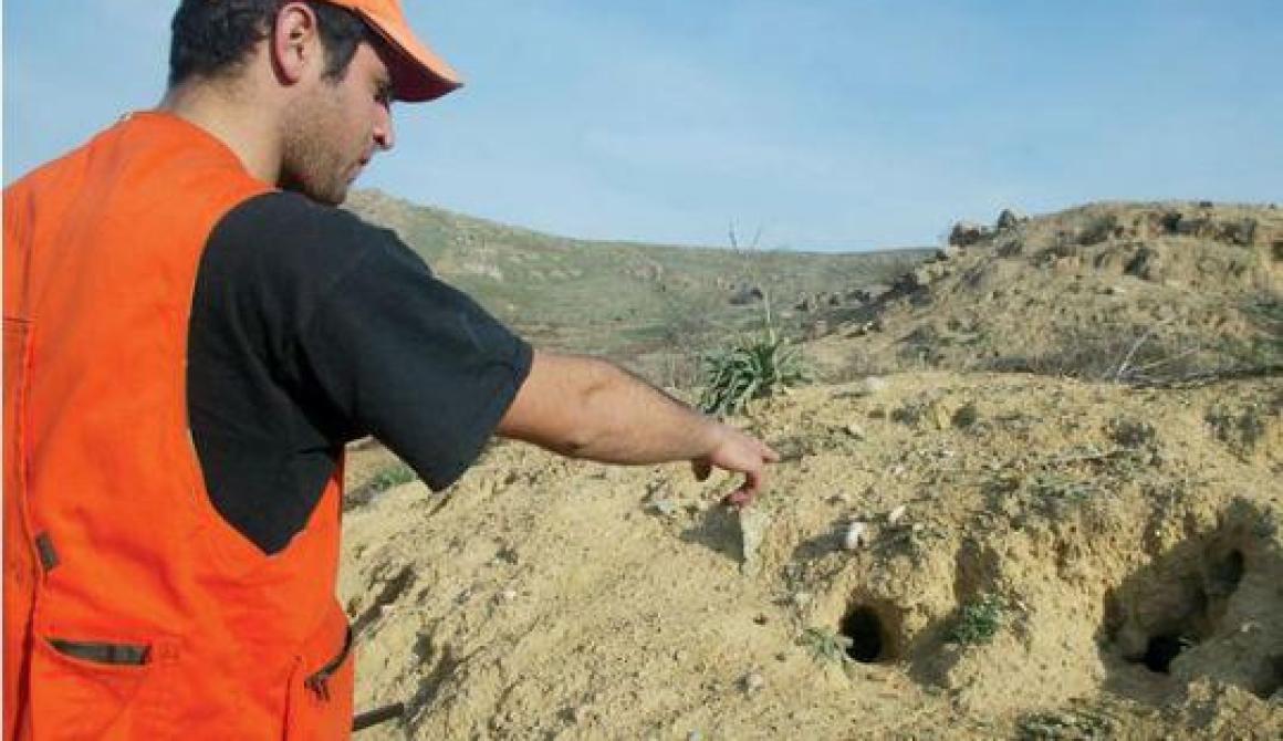 Παρέμβαση Β. Τεντόμα για τα αγριοκούνελα της Λήμνου