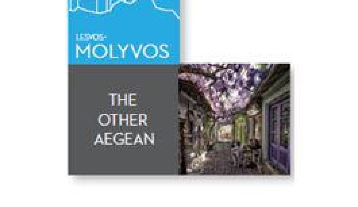 Mάθημα κυκλοφοριακής αγωγής στο Δημοτικό Σχολείο Μολύβου.