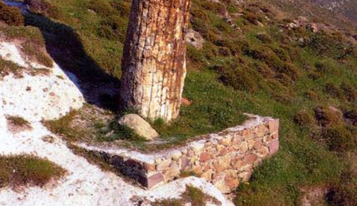 Συμμετοχή του Μουσείου Απολιθωμένου Δάσους Λέσβου στην ΙΤΒ Βερολίνου 2013 - See more at: http://www.lesvosnews.net/articles/news-categories/moyseio-sigri/symmetohi-toy-moyseioy-apolithomenoy-dasoys-lesvoy-stin-itv#sthash.qwfTo6zo.dpuf