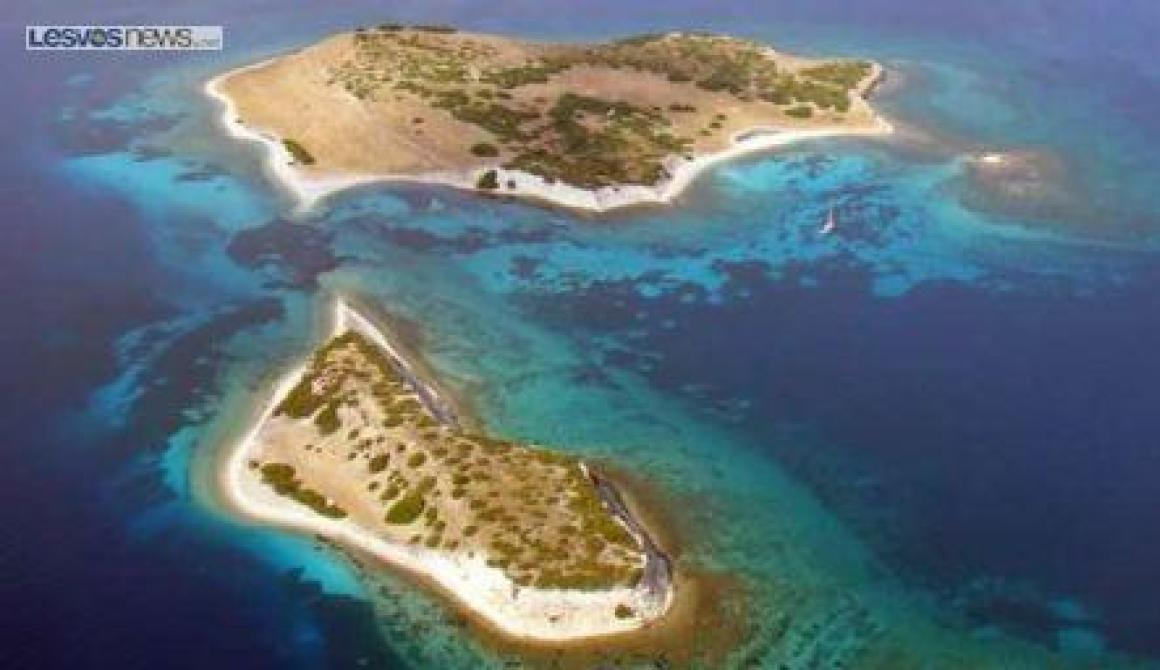 Ξενοδοχεία στα Τοκμάκια(;) Αλλού να παν...  Ανακοίνωση  των Οικολόγων Πράσινων