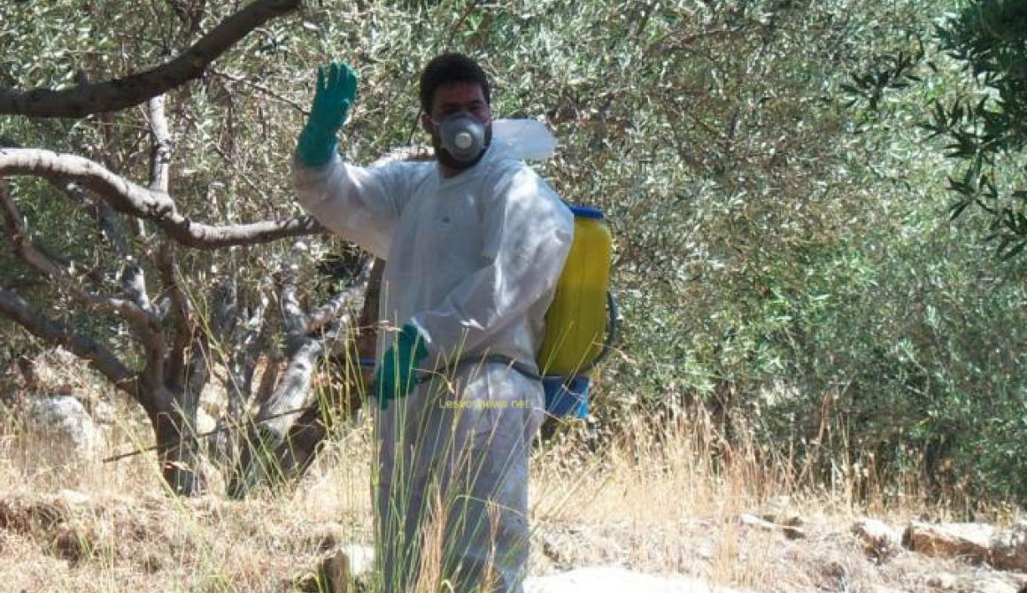  Λέσβος: Στη δικαιοσύνη προσφεύγουν για τα δεδουλευμένα τους οι εργαζόμενοι στην δακοκτονία