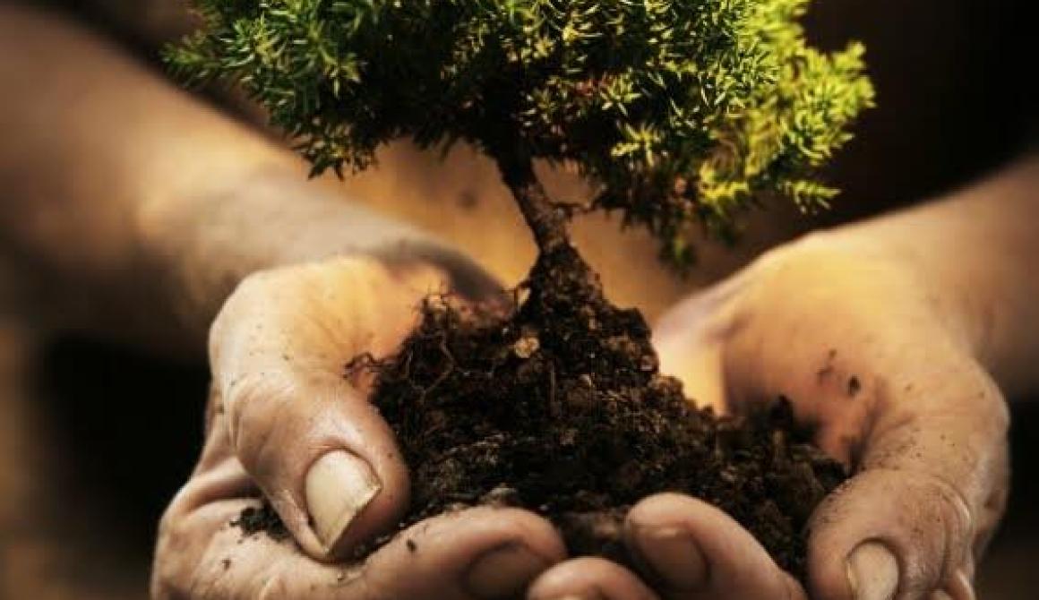 Οι Οικολόγοι Πράσινοι Βορείου Αιγαίου για την Παγκόσμια Ημέρα Δασοπονίας