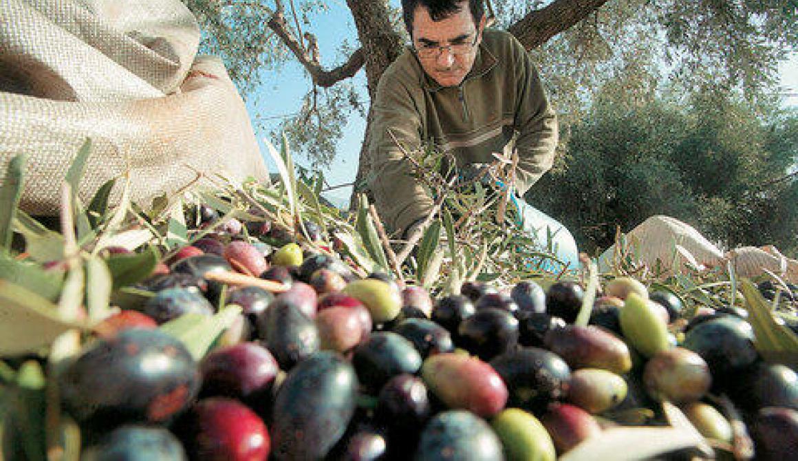 Έρχεται «ψαλίδι» στις αγροτικές επιδοτήσεις 