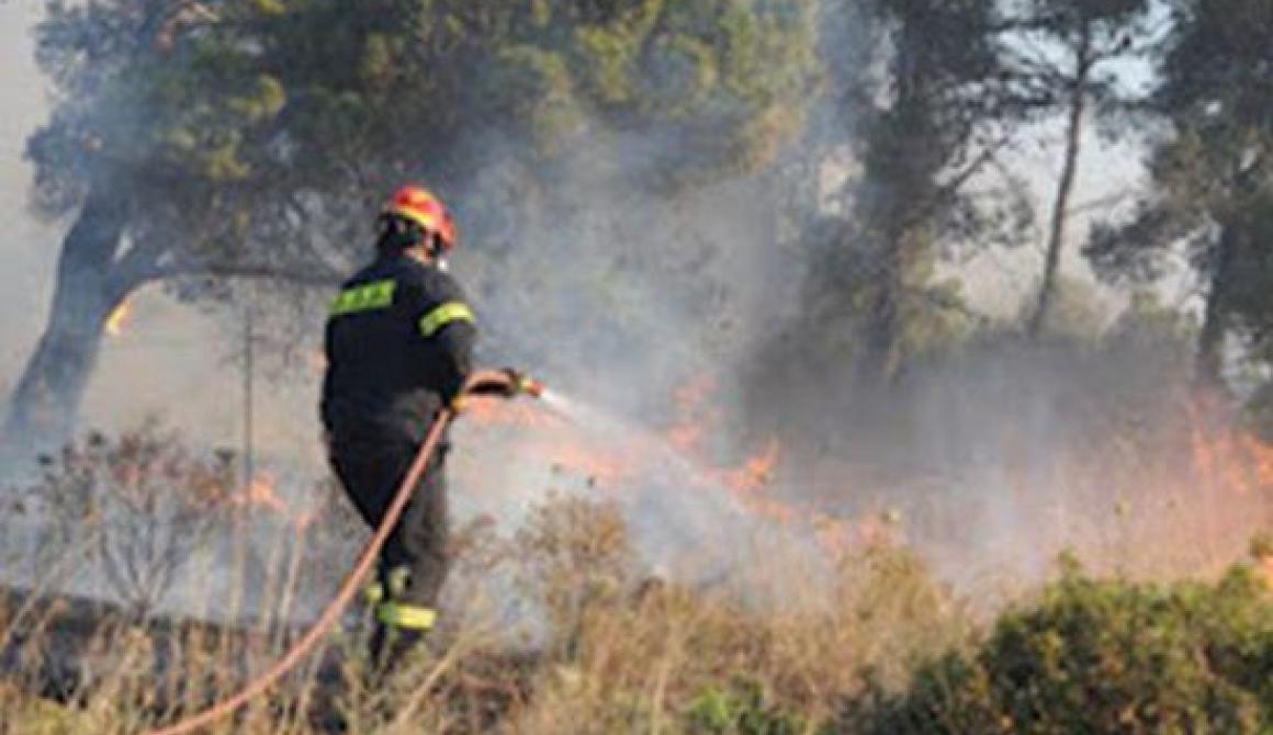 Στάχτη έγιναν 70 στρέμματα στην Άγρα 