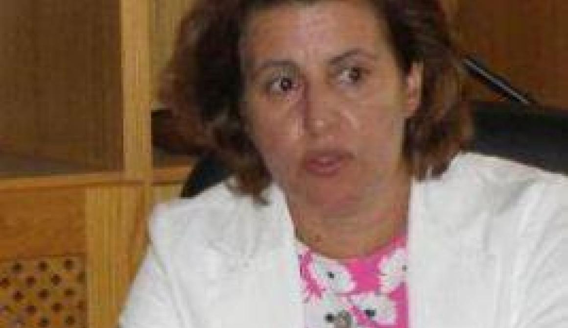 Προτάσεις της Γ.Γ της ΑΔΑ στην τεχνική σύσκεψη για την ανασυγκρότηση της Χίου