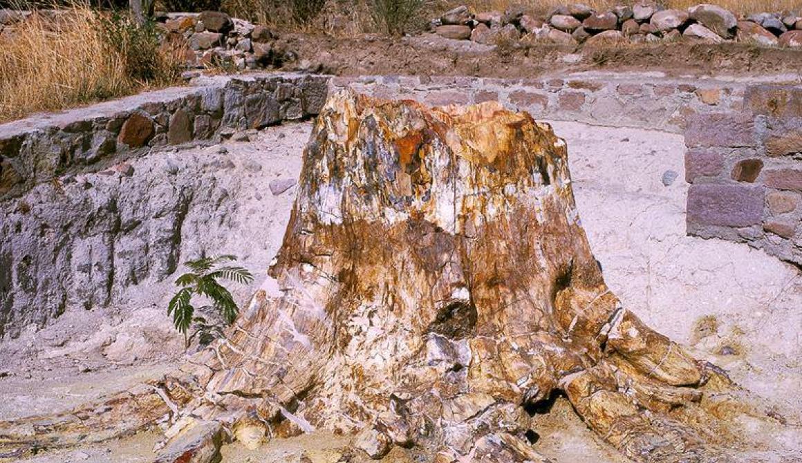ΑΙΓΑΙΟΝ  Η Γέννηση ενός Aρχιπελάγους 
