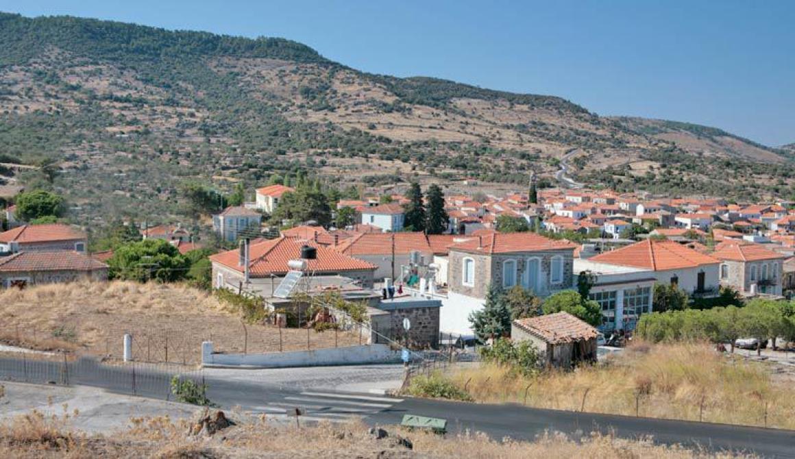  Σύλληψη 15 αλλοδαπών στον Μανταμάδο Λέσβου