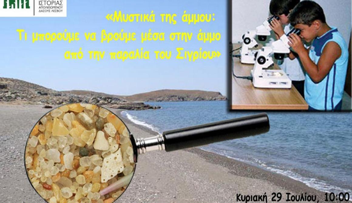Εκπαιδευτικό πρόγραμμα:  Μυστικά της Άμμου στο Μουσείο Απολιθωμένου Δάσους