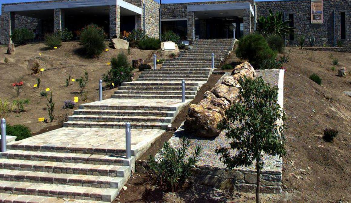 Διευρυμένο Ωράριο Λειτουργίας Moυσείου Απολιθωμένου Δάσους - Καθημερινά μέχρι της 8 το βράδυ