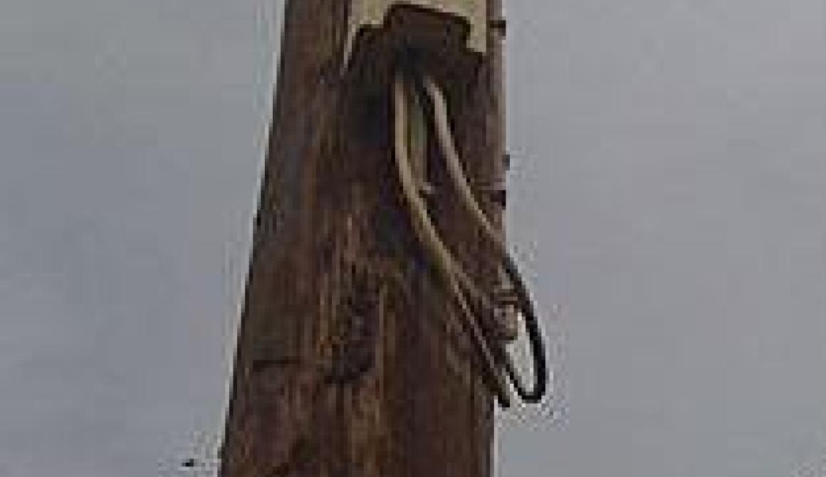 Εναερίτες κλέφτες 