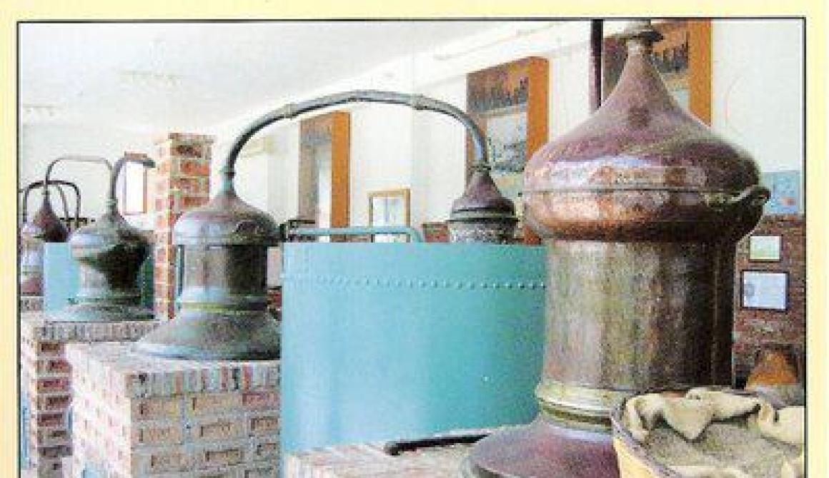 Π. Βογιατζής και ποτοποιοί Λέσβου «κέρασαν»  τα προβλήματα του κλάδου στον  Υφυπουργό Οικονομικών