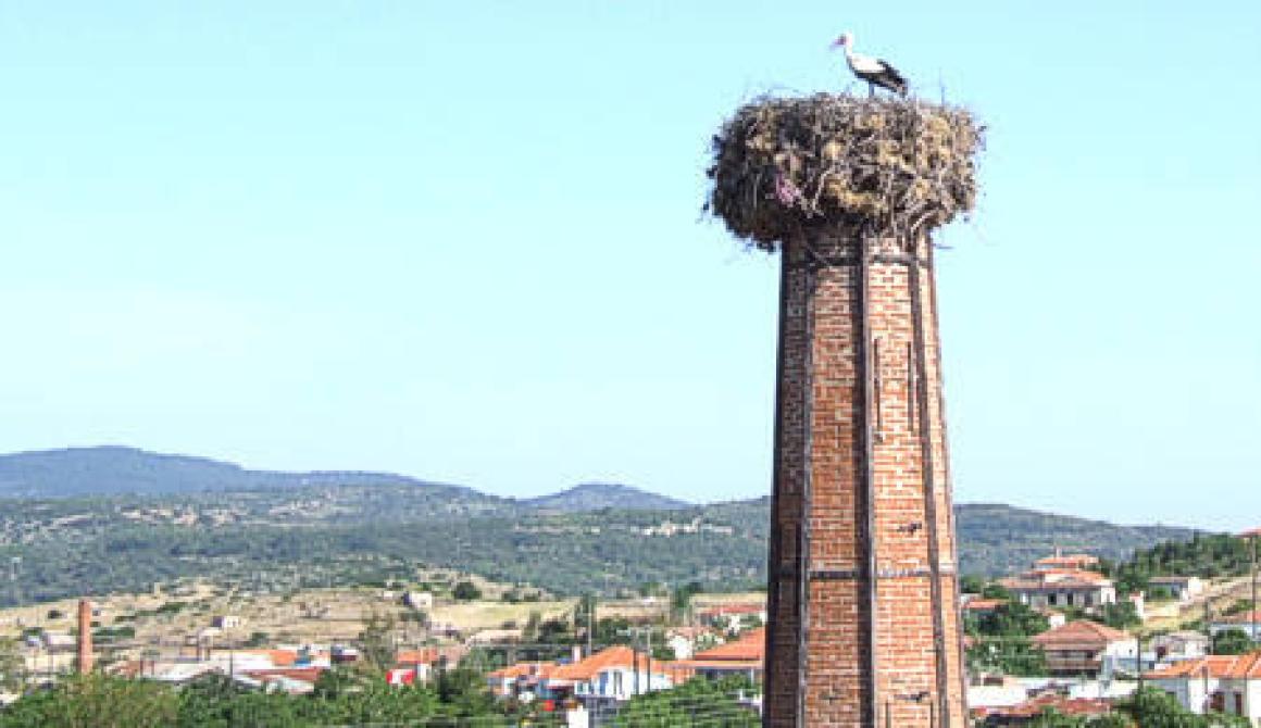 Συνελλήφθη ξανά το γνωστό κλεφτρόνι του Πολιχνίτου...