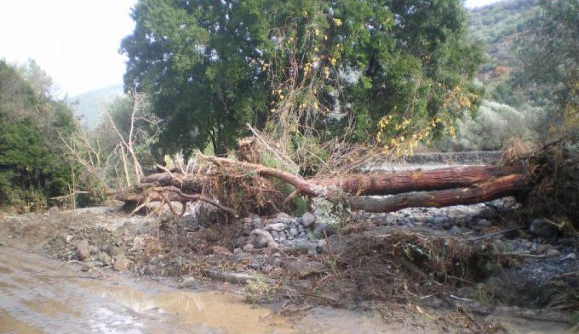 Ο Π. Βογιατζής σε Σταυρό και Αμπελικό  -