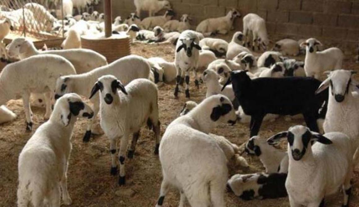 Σύσκεψη στο Υπουργείο Αγρτοικής Ανάπτυκης: Υποσχέσεις για καταροϊκό και αναβαθμίδες