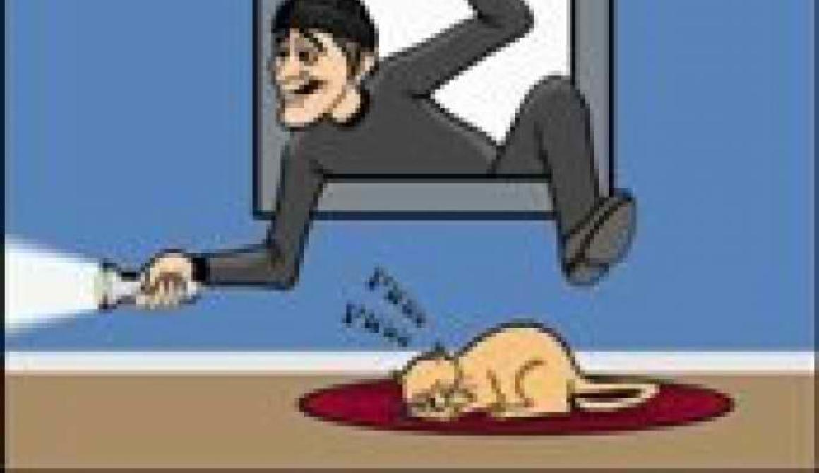 Θα κάνουν Χριστούγεννα οι διαρρήκτες... με κοσμήματα 3.000 ευρώ από την Παναγιούδα