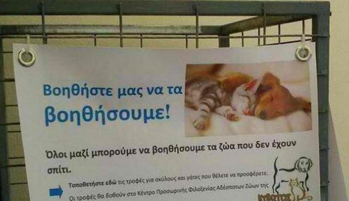 Βοηθάμε τα αδέσποτα με πράξεις - Τώρα υπάρχει τροφοσυλλέκτης και στη  Μυτιλήνη