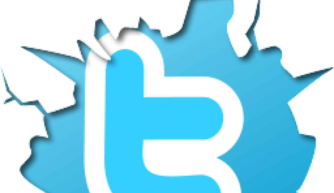 Το Τwitter μπλόκαρε στη Γερμανία μηνύματα των νεοναζί