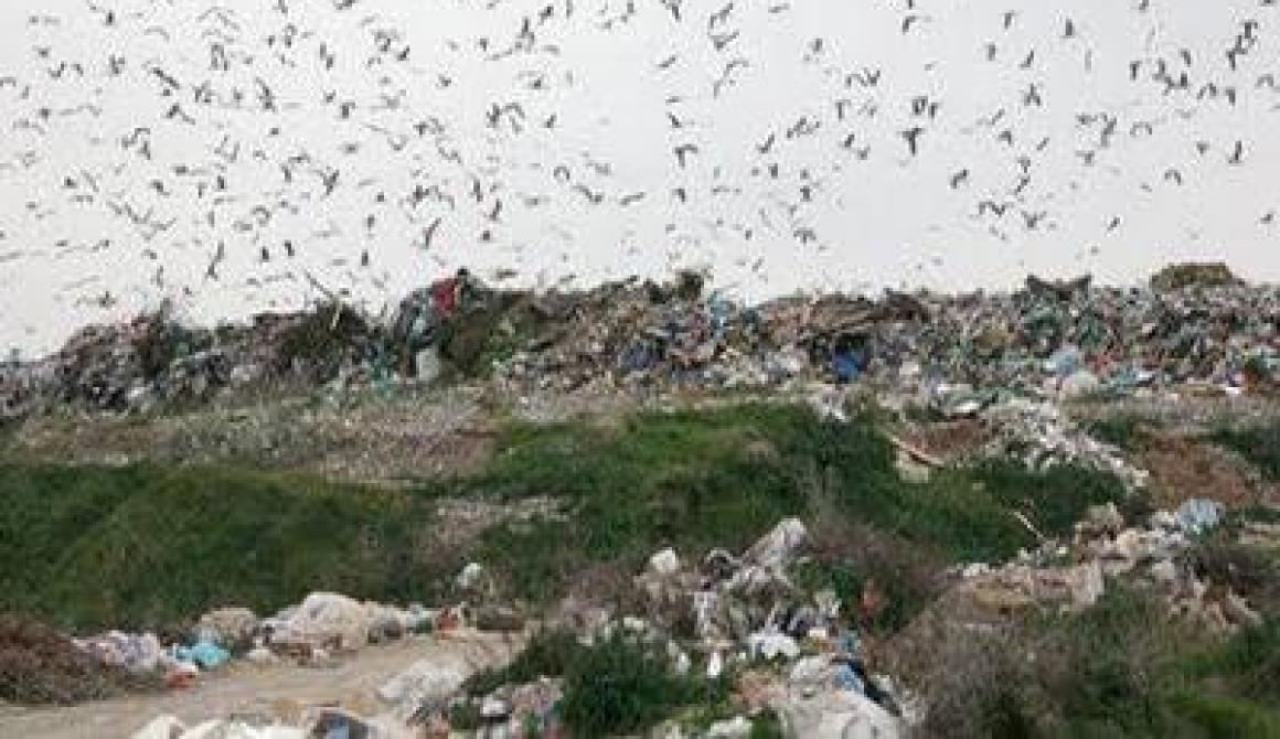 Αποκατάσταση ΧΑΔΑ σε Σκόπελο και Αγία Παρασκευή