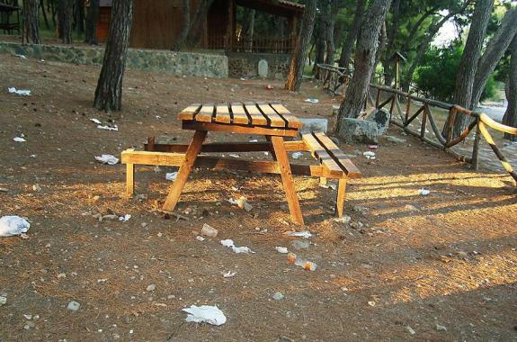 Τα Τσαμάκια ΠΕΘΑΙΝΟΥΝ. Κάντε επιτέλους κάτι…