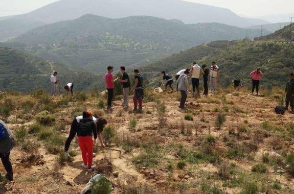 Μπράβο τους! Δεντροφύτευση μαθητών από Λέσβο στις καμένες περιοχές της Χίου