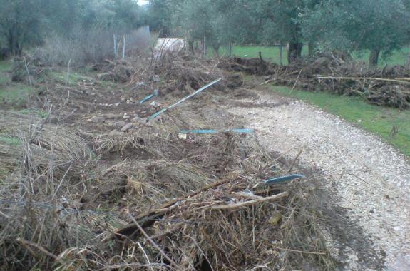 Let s do it: καθαρίζουμε τον ποταμό Ευεργέτουλα