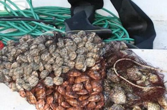 Άνοιξε ο Κόλπος Καλλονής και για τα χάβαρα