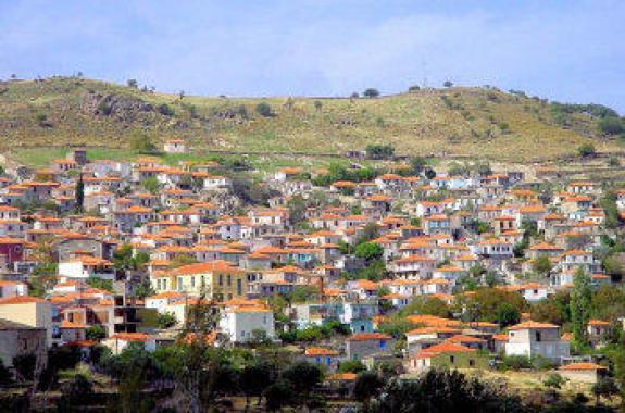 Ο Σκουτάρος δείχνει το δρόμο....«Εθελοντική – Αντικαλλικρατική ομάδα δράσης πολιτών» 